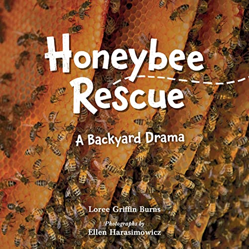 Honeybee Rescue: A Backyard Drama [Hardcover]