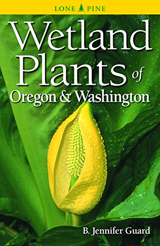 Wetland Plants Of Oregon And Washington [Paperback]