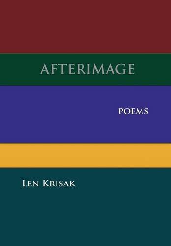 Afterimage [Hardcover]