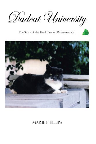 Dadcat University The Story Of The Feral Cats At Umass-Amherst [Paperback]