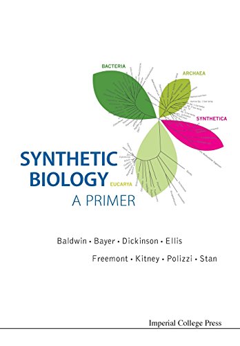 Synthetic Biology - A Primer [Paperback]