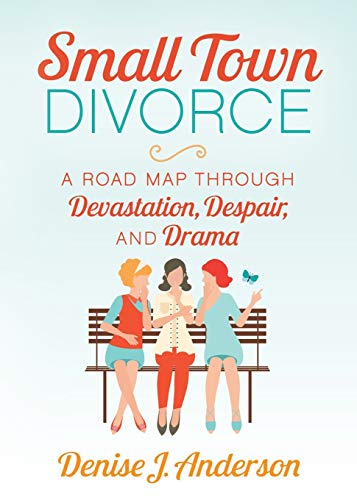 Small Ton Divorce A Road Map Through Devastation, Despair, and Drama [Paperback]