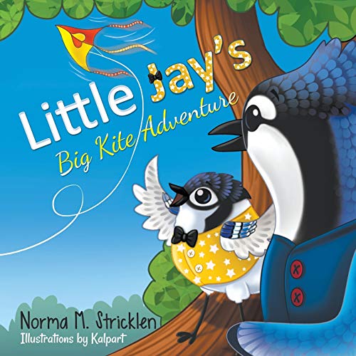 Little Jay's Big Kite Adventure [Paperback]