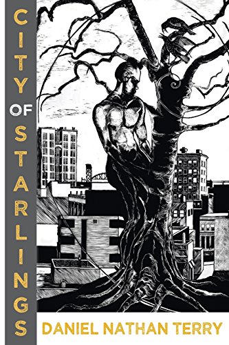 City Of Starlings [Paperback]