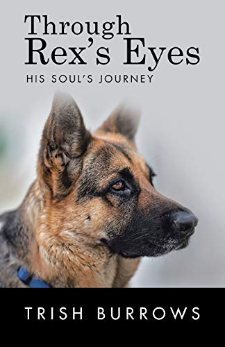 Through Rex's Eyes His Soul's Journey [Paperback]