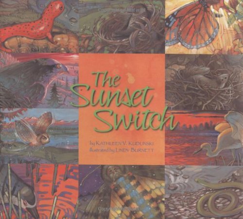 The Sunset Switch [Hardcover]