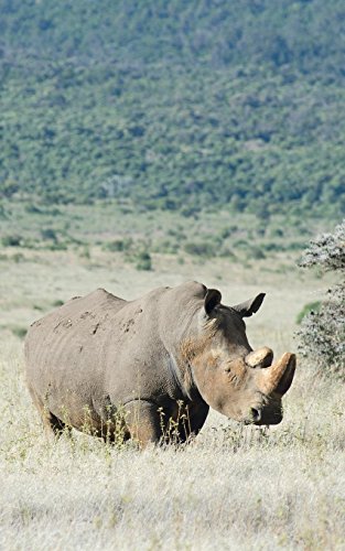 Alive White Rhino - Natural - Photo Art Notebooks (5 X 8 Series) [Paperback]