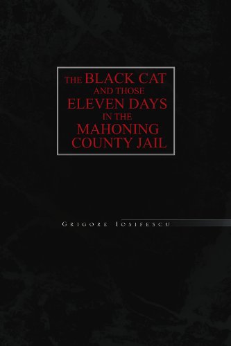 Black Cat and Those Eleven Days in the Mahoning County Jail [Paperback]