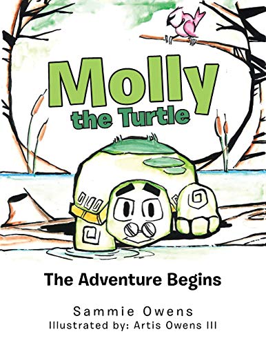 Molly the Turtle  The Adventure Begins [Paperback]