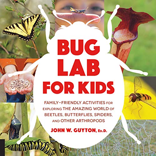 Bug Lab for Kids: Family-Friendly Activities