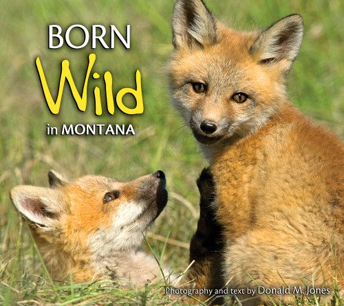 Born Wild In Montana [Paperback]