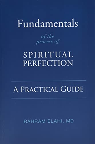 Fundamentals of the Process of Spiritual Perfection: A Practical Guide [Paperback]