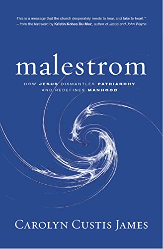 Malestrom: How Jesus Dismantles Patriarchy and Redefines Manhood [Paperback]