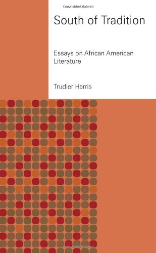 South of Tradition: Essays on African American Literature [Hardcover]