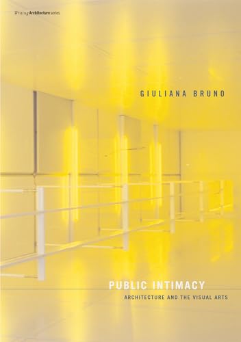 Public Intimacy: Architecture and the Visual Arts [Paperback]