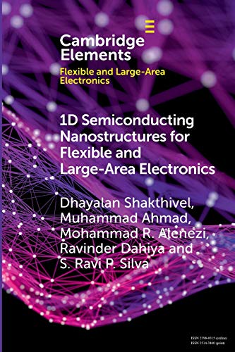 1D Semiconducting Nanostructures for Flexible and Large-Area Electronics Groth [Paperback]