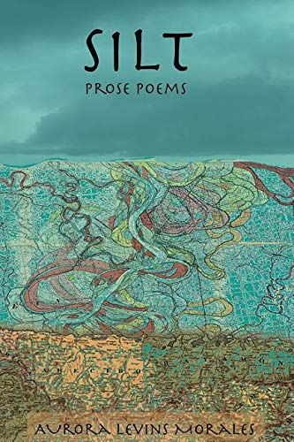 Silt  Prose Poems [Paperback]