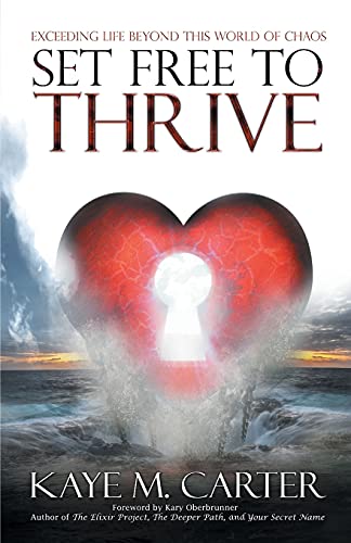 Set Free To Thrive Exceeding Life Beyond This World Of Chaos [Paperback]