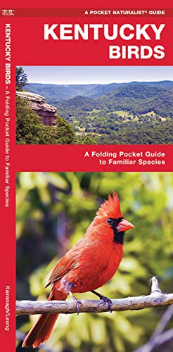 Kentucky Birds: A Folding Pocket Guide to Familiar Species [Pamphlet]