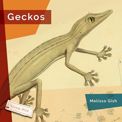 Geckos [Paperback]