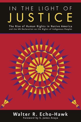 In the Light of Justice: The Rise of Human Rights in Native America and the UN D [Paperback]