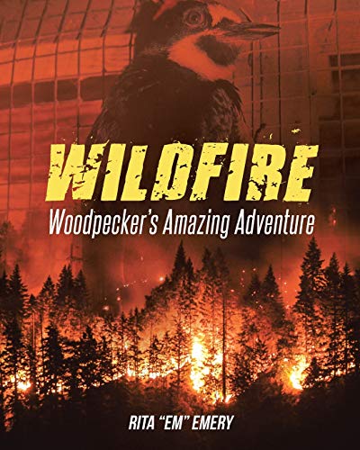 Wildfire Woodpecker's Amazing Adventure [Paperback]