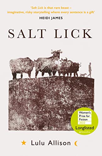 Salt Lick [Paperback]